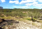 Xalet independent amb terreny en venda a la España, Tivissa, ref.: TR158816 foto