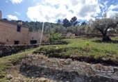 Xalet independent amb terreny en venda a la España, Tivissa, ref.: TR158816 foto