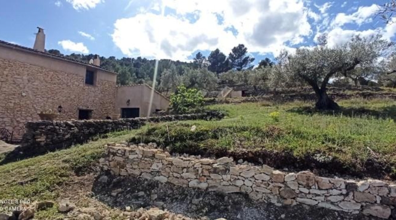 Tarragona - Tivissa - 38000m2