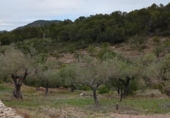 Xalet independent amb terreny en venda a la España, Tivissa, ref.: TR158816 foto