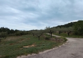 Xalet independent amb terreny en venda a la España, Tivissa, ref.: TR158816 foto