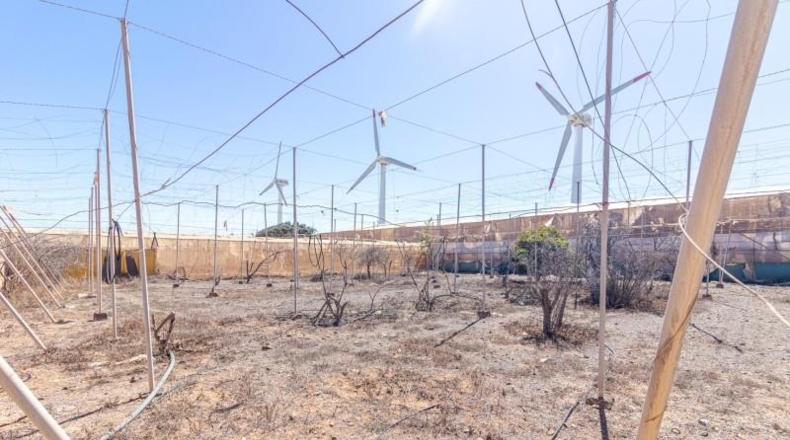 Las Palmas - Santa Lucía de Tirajana - 6343m2