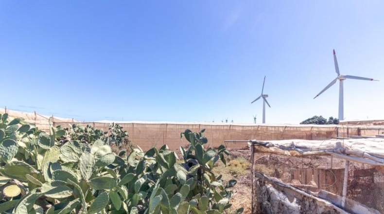 Las Palmas - Santa Lucía de Tirajana - 6343m2