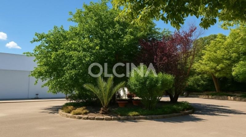 Alicante - Alcoy - 230m2