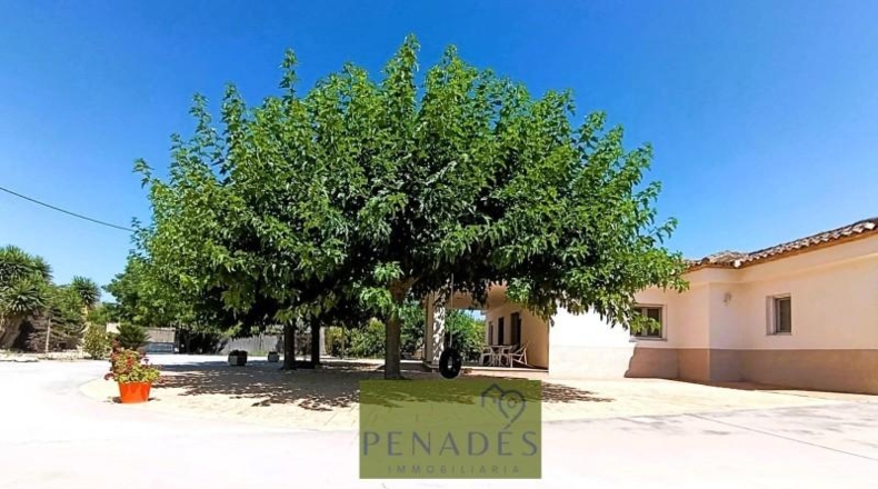 Valencia - Onteniente - 2214m2