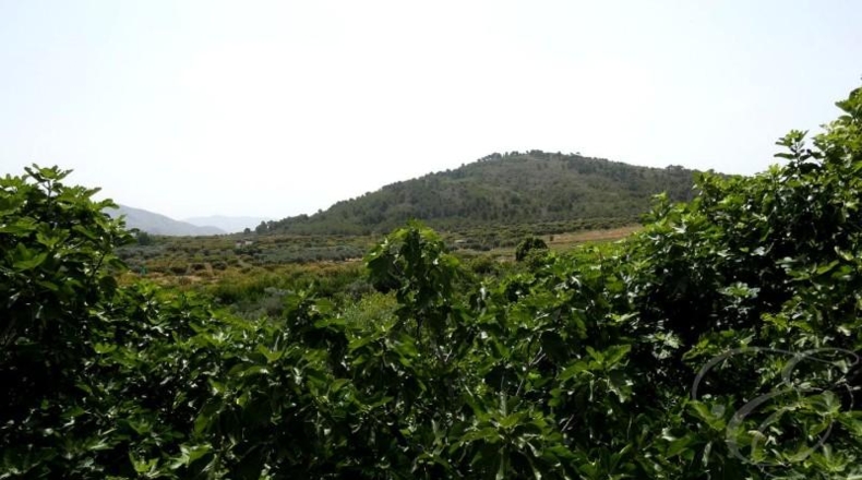Granada - Molvízar - 7848m2