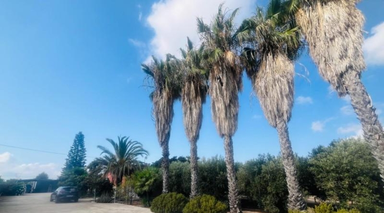 Alicante - Elx - 3300m2