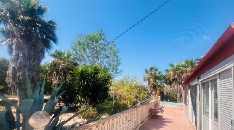 Alicante - Elx - 3300m2