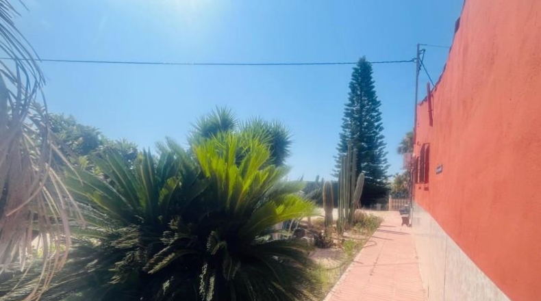 Alicante - Elx - 3300m2