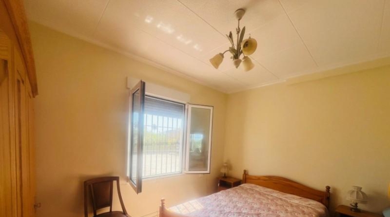 Alicante - Elx - 3300m2