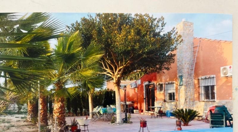 Alicante - Elx - 3300m2