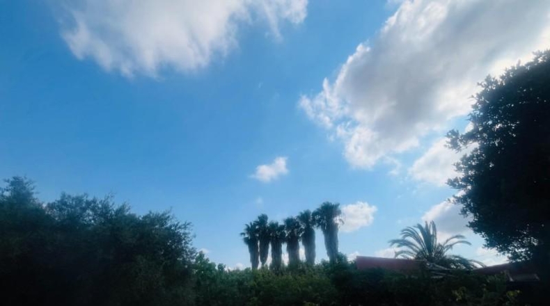 Alicante - Elx - 3300m2