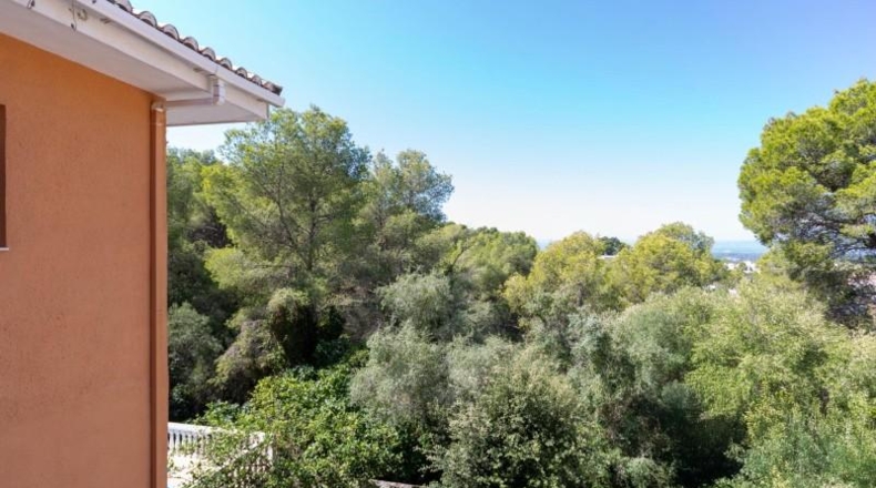 València - Alcira - 272m2