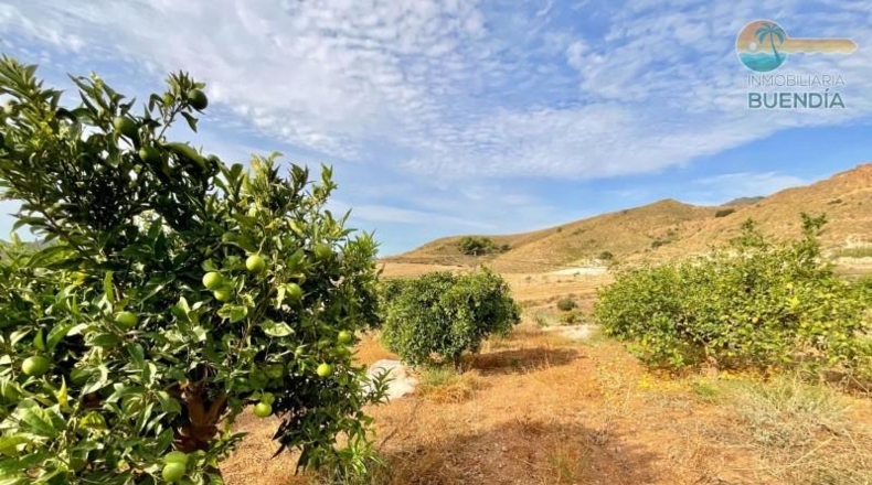 Múrcia - Lorca - 25000m2