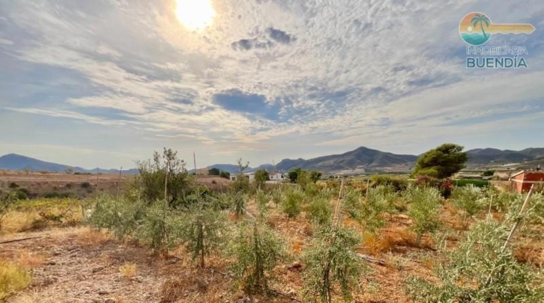 Múrcia - Lorca - 25000m2