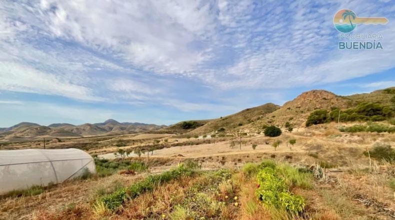 Múrcia - Lorca - 25000m2