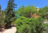 Casa de campo con terreno en venta en la España, Alhama de Murcia, ref: TR308998 foto