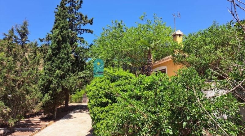 Múrcia - Alhama de Murcia - 33000m2