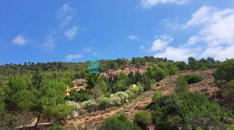 Múrcia - Alhama de Murcia - 33000m2