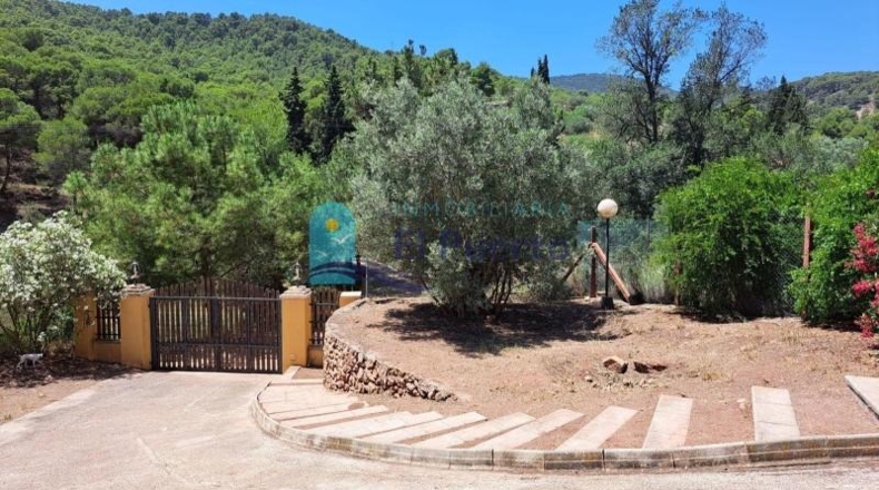 Múrcia - Alhama de Murcia - 33000m2