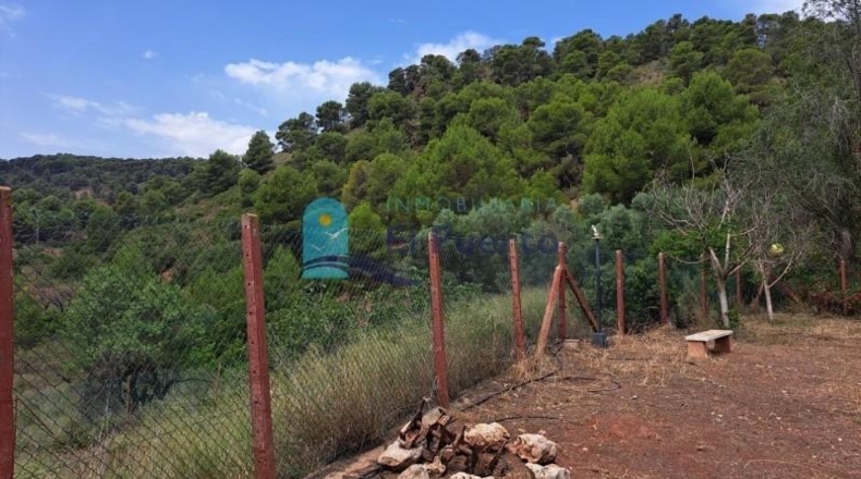 Múrcia - Alhama de Murcia - 33000m2