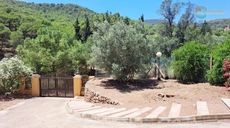 Murcia - Alhama de Murcia - 15093m2