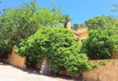Casa de campo con terreno en venta en la España, Alhama de Murcia, ref: TR326084 foto