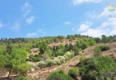 Casa de campo con terreno en venta en la España, Alhama de Murcia, ref: TR326084 foto