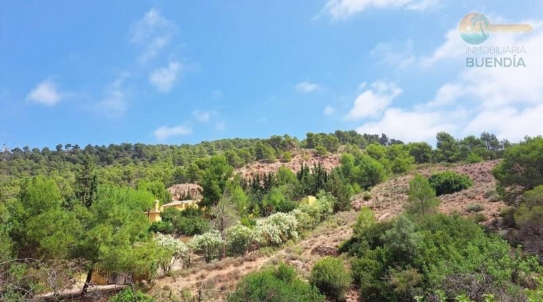 Murcia - Alhama de Murcia - 15093m2