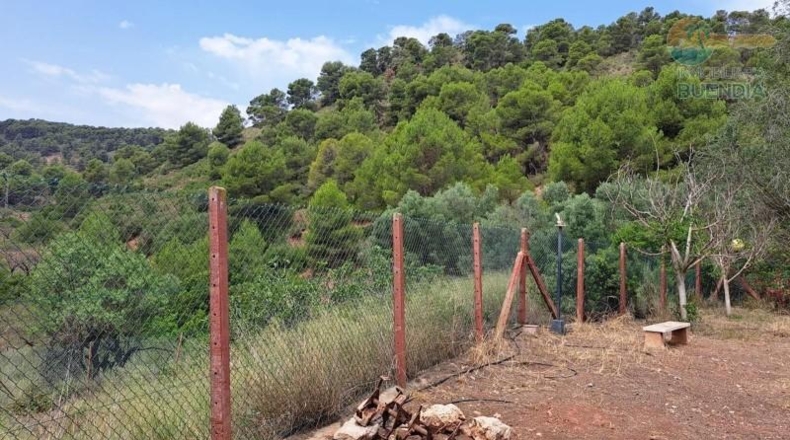 Murcia - Alhama de Murcia - 15093m2