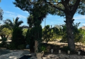 Chalet independiente con terreno en venta en la España, Mazarrón, ref: TR388028 foto