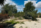 Chalet independiente con terreno en venta en la España, Mazarrón, ref: TR388028 foto