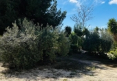 Chalet independiente con terreno en venta en la España, Mazarrón, ref: TR388028 foto