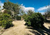 Chalet independiente con terreno en venta en la España, Mazarrón, ref: TR388028 foto