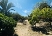 Chalet independiente con terreno en venta en la España, Mazarrón, ref: TR388028 foto