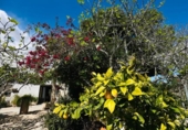 Chalet independiente con terreno en venta en la España, Mazarrón, ref: TR388028 foto