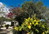 Chalet independiente con terreno en venta en la España, Mazarrón, ref: TR388028 foto