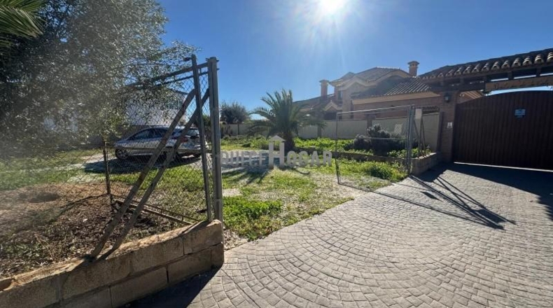 Málaga - Málaga - 1000m2