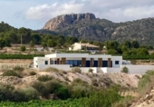 Xalet independent amb terreny en venda a la España, Elx, ref.: TR335958 foto