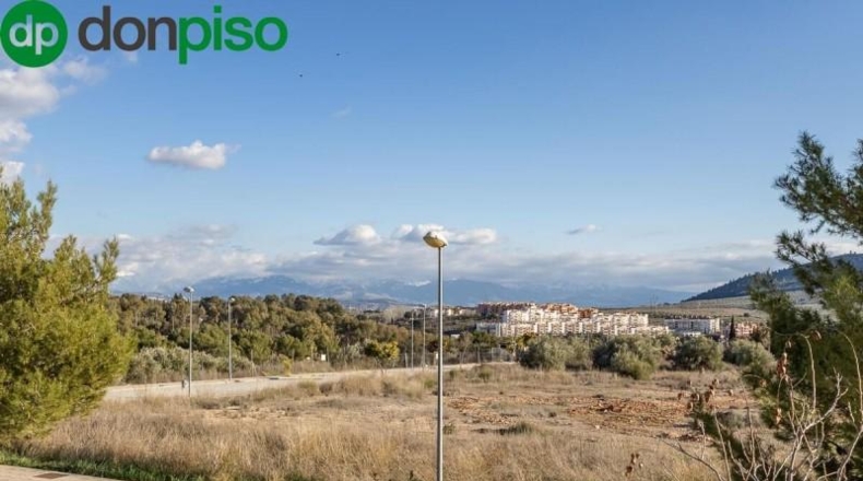 Granada - Atarfe - 800m2