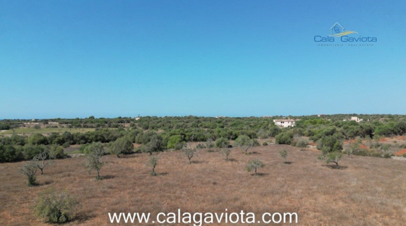 Islas Baleares - Las Salinas - 17000m2