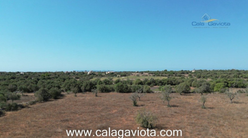 Islas Baleares - Las Salinas - 17000m2