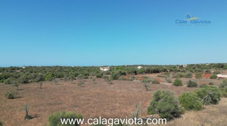 Islas Baleares - Las Salinas - 17000m2