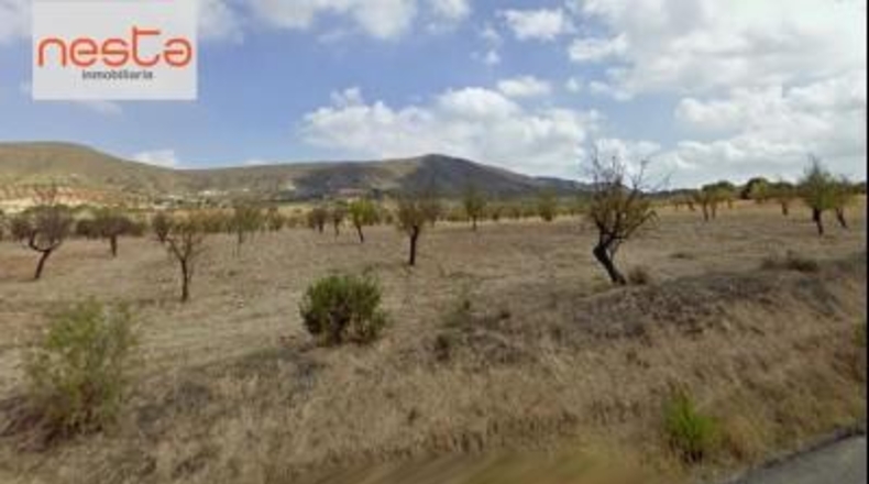 Murcia - Lorca - 100000m2