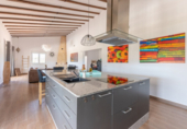 Chalet independiente con terreno en venta en la España, La Romana, ref: TR136495 foto