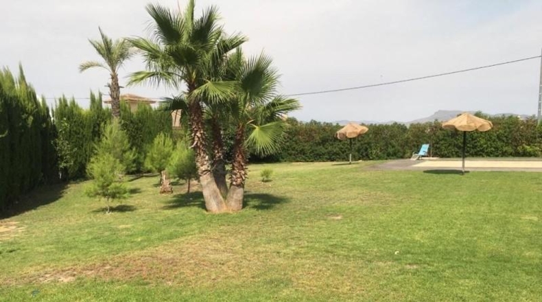Murcia - Lorca - 5603m2