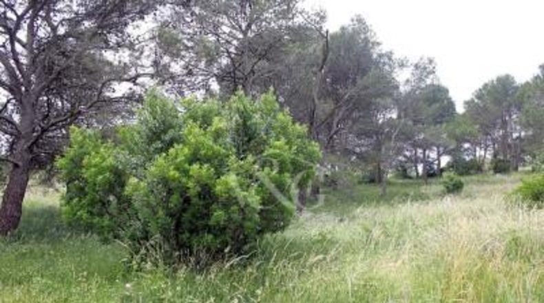 Gerona - Begur - 805m2