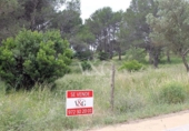 Parcela urbanizable en venta en la España, Begur, ref: TR144153 foto