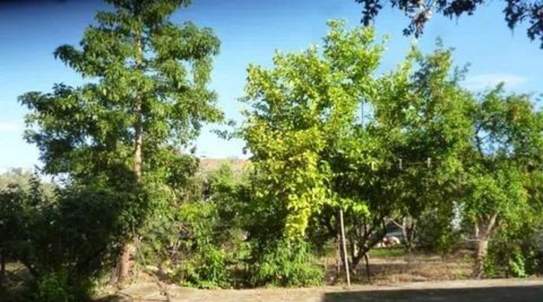 Córdoba - Кордова - 3218m2