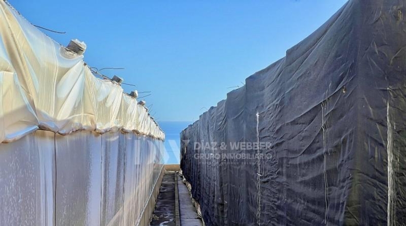 Málaga - Algarrobo - 7300m2